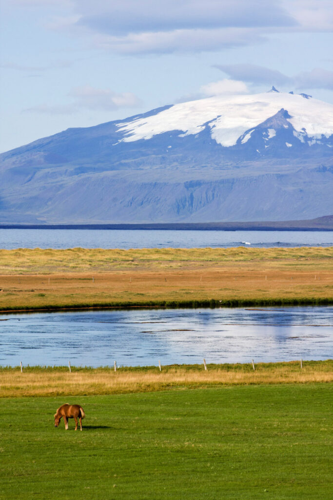 015-horse-snaefellsjokull-2
