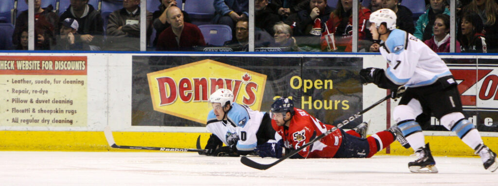 Victoria Salmon Kings - Alaska Aces, ECHL deildin &iacute; &iacute;shokk&iacute;